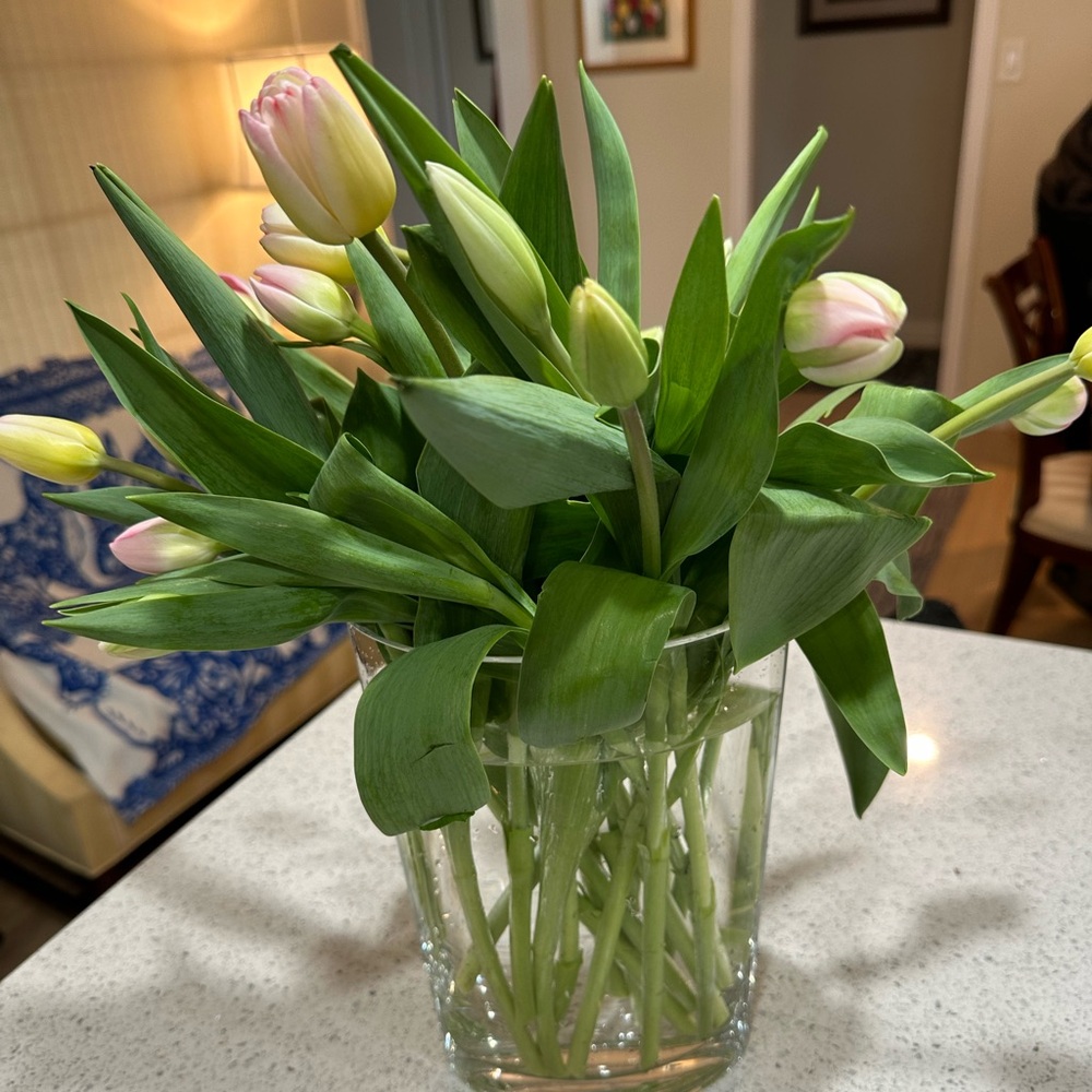 Meet your Posher, Francis